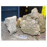 Petrified Wood Slab. Petrified Wood Slab.