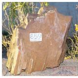 Petrified Wood Slab.