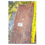 13' Petrified Wood Slab. 13' Petrified Wood Slab.