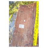 13" Petrified Wood Slab.