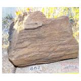 Petrified Wood Slab. Petrified Wood Slab.