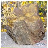 Petrified Wood Round. Petrified Wood Round.