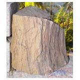 7' Petrified Wood Slab. 7' Petrified Wood Slab.