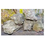 5 Assorted Petrified Rocks w/ Shell Fossils. 5 Assorted Petrified Rocks w/ Shell Fossils.