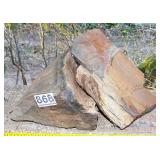 2 Pieces of Petrified Wood. 2 Pieces of Petrified Wood.