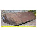 Petrified Wood Slab. Petrified Wood Slab.