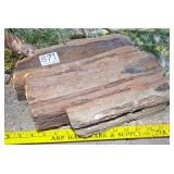 13" Petrified Wood Slab.