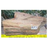 13' Petrified Wood Slab. 13' Petrified Wood Slab.