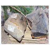 3 Pieces Petrified Wood. 3 Pieces Petrified Wood.