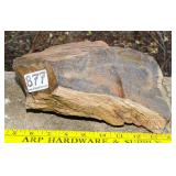 9" Petrified Wood Slab.