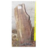 Large Petrified Wood Slab.