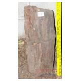 18" Petrified Wood Slab.