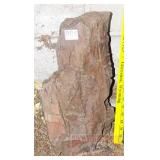 Large Petrified Wood Slab. Large Petrified Wood Slab.