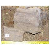 2 Pieces of Petrifed Wood. 2 Pieces of Petrifed Wood.