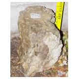 Petrified Wood Slab, 8' high. Petrified Wood Slab, 8' high.