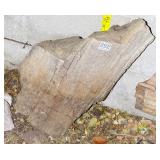 Large Petrified Wood Slab.