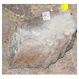 5' Petrified Wood Round. 5' Petrified Wood Round.