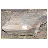 Petrified Wood Slab. Petrified Wood Slab.