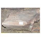 Petrified Wood Slab.