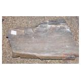 Petrified Wood Slab.