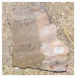 Large Petrified Wood Slab.