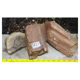 3 Pieces of Petrified Wood. 3 Pieces of Petrified Wood.