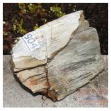 Petrified Stone Slab. Petrified Stone Slab.