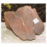 Dark Red Petrified Wood Slab.