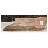 Two Tone Petrified Wood Slab. Two Tone Petrified Wood Slab.