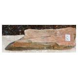 Two Tone Petrified Wood Slab.