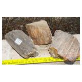 3 Pieces of Petrified Wood. 3 Pieces of Petrified Wood.