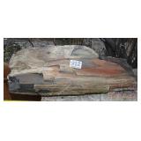 Neat Multi-Color Petrified Wood Slab. Neat Multi-Color Petrified Wood Slab.