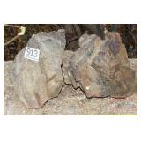 2 Pieces of Petrified Wood. 2 Pieces of Petrified Wood.