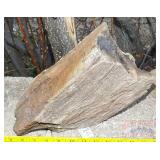 Petrified Wood Slab.