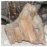 Petrified Wood Slab.