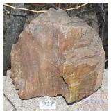Petrified Wood Slab. Petrified Wood Slab.
