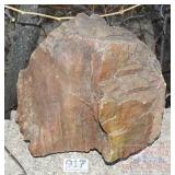 Petrified Wood Slab.