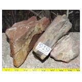 3 Pieces of Petrified Wood. 3 Pieces of Petrified Wood.