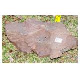 Dark Red Petrified Wood Slab. Dark Red Petrified Wood Slab.