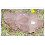 Dark Red Petrified Wood Slab.