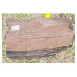 Dark Red Petrified Wood Slab.