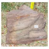 7" Petrified Wood Slab.