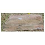 Petrified Wood Slab. Petrified Wood Slab.