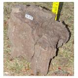 10' Petrified Wood Round. 10' Petrified Wood Round.