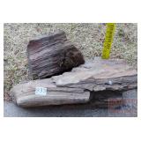 2 Pieces Petrified Wood.