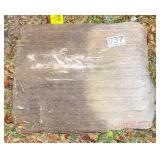 Petrified Wood Slab, 5.5' high. Petrified Wood Slab, 5.5' high.