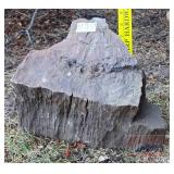 9' Petrified Wood Slab. 9' Petrified Wood Slab.