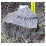 9" Petrified Wood Slab.