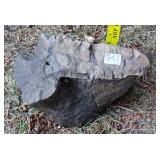 5' Petrified Wood Slab. 5' Petrified Wood Slab.