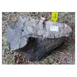 5" Petrified Wood Slab.